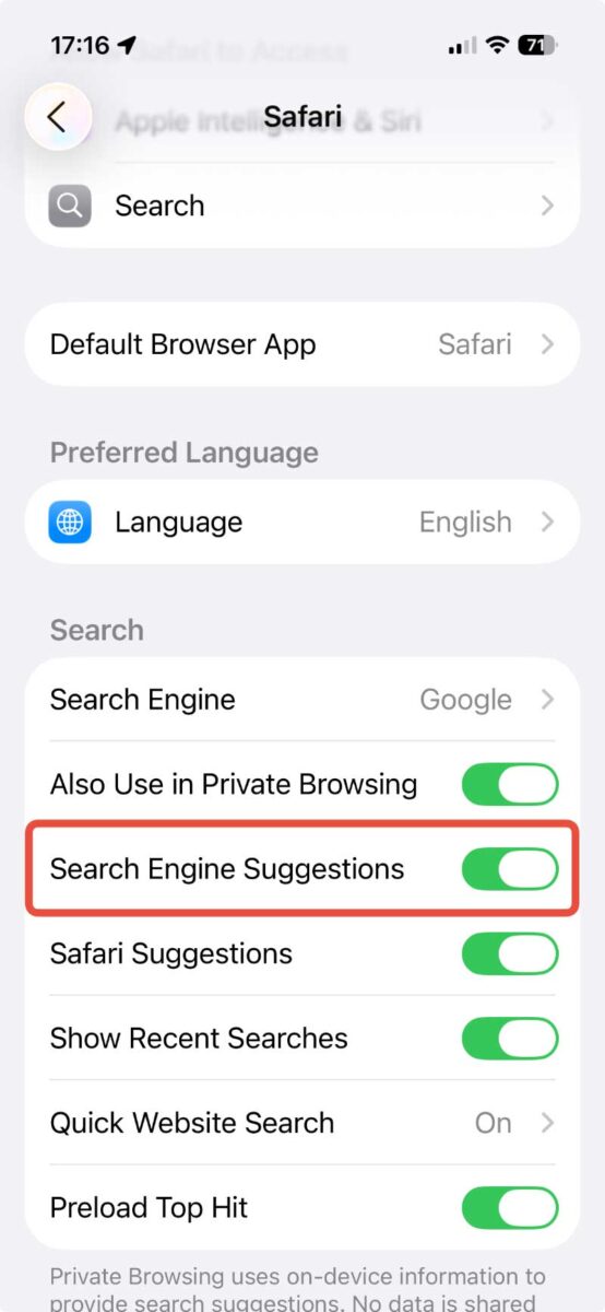 iPhone Search Engine Suggestions